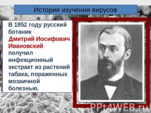 История изучения вирусовВ 1852 году русский ботаник Дмитрий Иосифович Ивановский