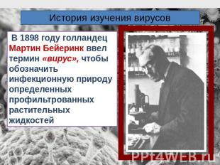 История изучения вирусов В 1898 году голландец Мартин Бейеринк ввел термин «виру