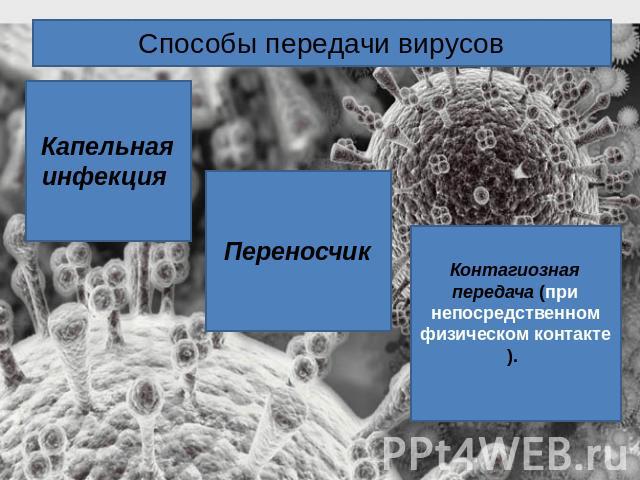 Способы передачи вирусов Капельная инфекция ПереносчикКонтагиозная передача (при непосредственном физическом контакте).