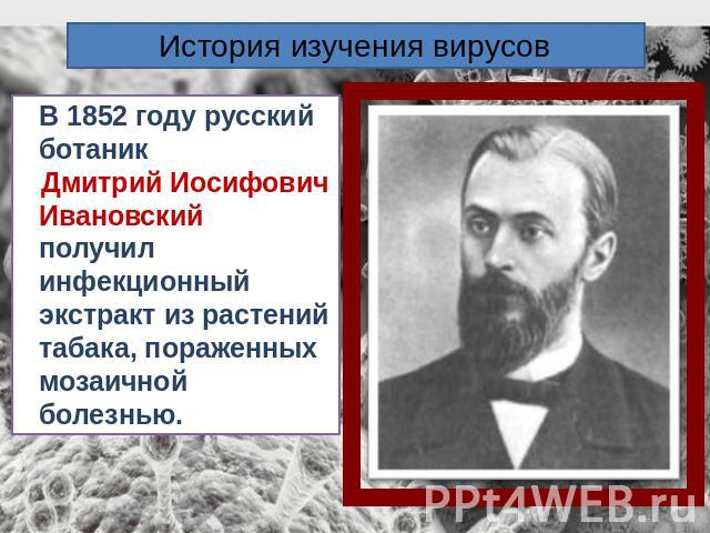 История изучения вирусовВ 1852 году русский ботаник Дмитрий Иосифович Ивановский получил инфекционный экстракт из растений табака, пораженных мозаичной болезнью.