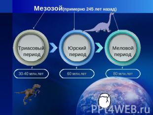 Мезозой(примерно 245 лет назад) Триасовый период30-40 млн.летЮрский период60 млн