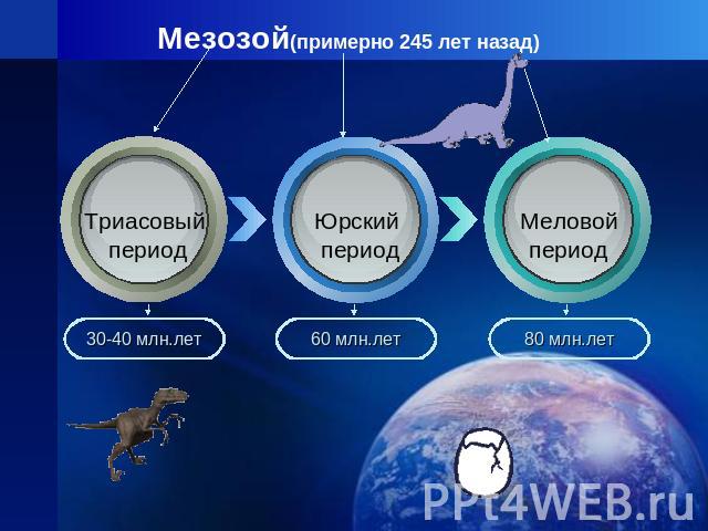 Мезозой(примерно 245 лет назад) Триасовый период30-40 млн.летЮрский период60 млн.летМеловойпериод80 млн.лет