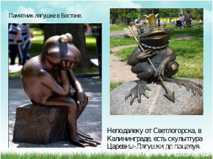 Памятник лягушке в Бостоне. Неподалеку от Светлогорска, в Калининграде, есть ску