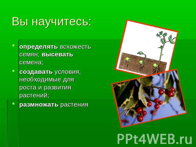 Вы научитесь: определять всхожесть семян; высевать семена;создавать условия, необходимые для роста и развития растений;размножать растения