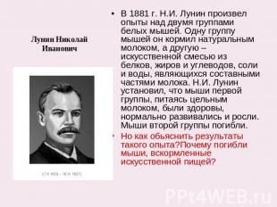 Лунин Николай Иванович В 1881 г. Н.И. Лунин произвел опыты над двумя группами бе