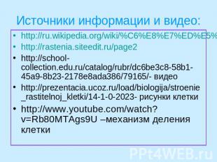 Источники информации и видео: http://ru.wikipedia.org/wiki/%C6%E8%E7%ED%E5%E4%E5