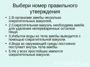 Выбери номер правильного утверждения 1.В организме амебы несколько сократительны