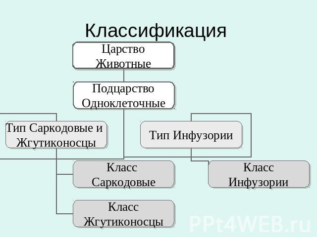 Классификация