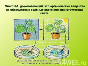Опыт №1 доказывающий ,что органические вещества не образуются в зелёных растения