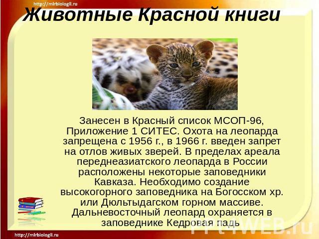 Животные Красной книги Занесен в Красный список МСОП-96, Приложение 1 СИТЕС. Охота на леопарда запрещена с 1956 г., в 1966 г. введен запрет на отлов живых зверей. В пределах ареала переднеазиатского леопарда в России расположены некоторые заповедник…