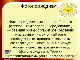 Фотопериодизм Фотопериодизм (греч. photos- "свет" и periodos- "круговорот", "чер