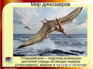 Мир динозавров Птеродактили— подотряд вымерших рептилий отряда летающих ящеров (