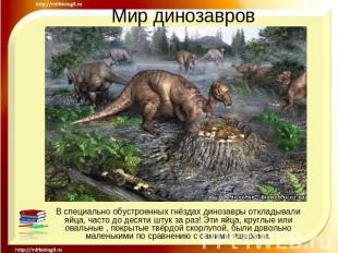 Мир динозавров В специально обустроенных гнёздах динозавры откладывали яйца, час