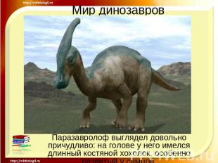 Мир динозавров Паразавролоф выглядел довольно причудливо: на голове у него имелс