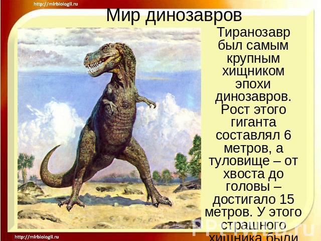 Мир динозавров Тиранозавр был самым крупным хищником эпохи динозавров. Рост этого гиганта составлял 6 метров, а туловище – от хвоста до головы – достигало 15 метров. У этого страшного хищника были острые , как кинжалы зубы.
