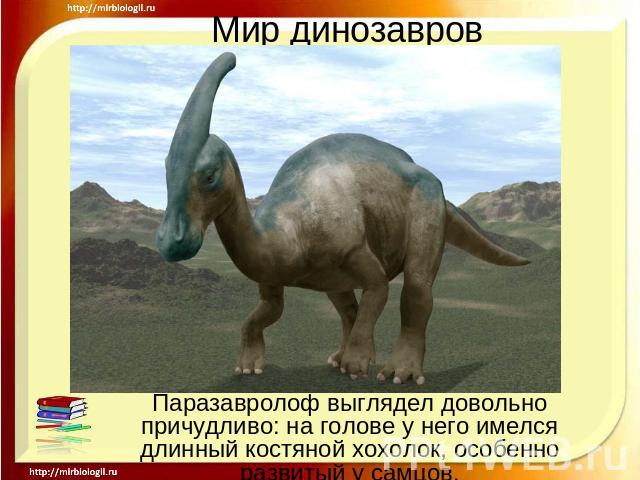 Мир динозавров Паразавролоф выглядел довольно причудливо: на голове у него имелся длинный костяной хохолок, особенно развитый у самцов.