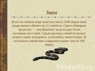 Змеи Всего на земном шаре известно около 2500 видов змей, разделяемых обычно на