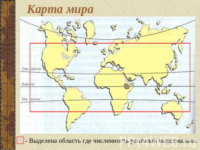 Карта мира - Выделена область где численность рептилий максимальна.