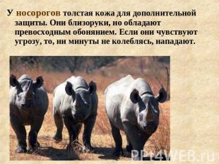 У носорогов толстая кожа для дополнительной защиты. Они близоруки, но обладают п