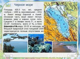 Черное море Площадь 420,3 тыс. км, средняя глубина – 1300 м, максимальная – 2211