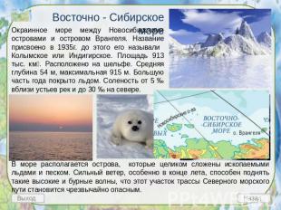 Восточно - Сибирское море Окраинное море между Новосибирскими островами и остров