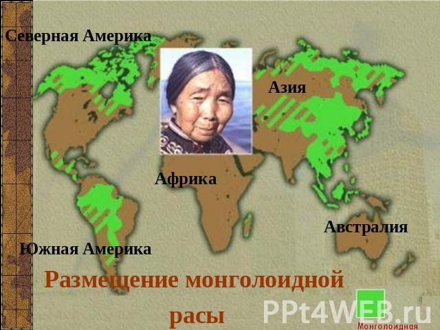 Размещение монголоидной расы
