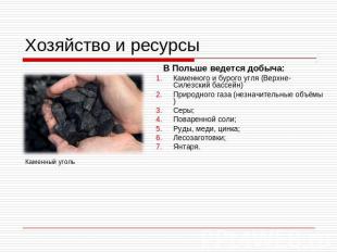 Хозяйство и ресурсы В Польше ведется добыча: Каменного и бурого угля (Верхне-Сил