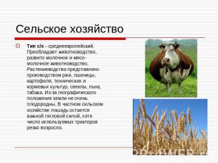 Сельское хозяйство Тип с/х – среднеевропейский. Преобладает животноводство, разв