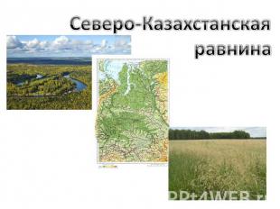 Северо-Казахстанская равнина