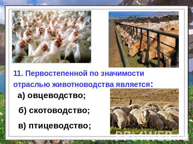 11. Первостепенной по значимости отраслью животноводства является: а) овцеводство; б) скотоводство; в) птицеводство;