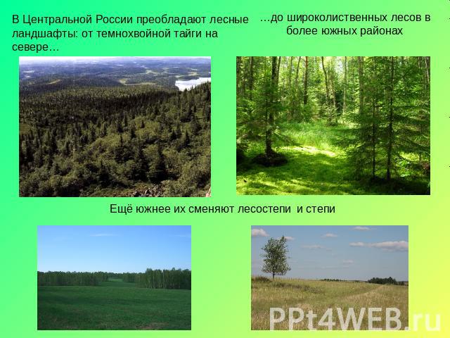 В Центральной России преобладают лесные ландшафты: от темнохвойной тайги на севере… …до широколиственных лесов в более южных районах Ещё южнее их сменяют лесостепи