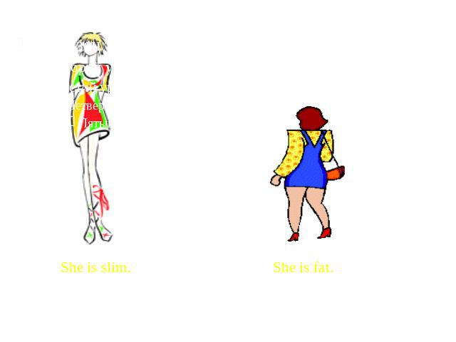 Build She is slim. She is fat.