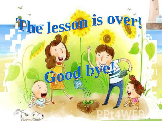 The lesson is over! Good bye!