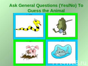 Ask General Questions (Yes/No) To Guess the Animal