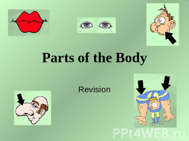 Parts of the Body Revision