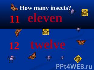 How many insects? 11 eleven 12 twelve