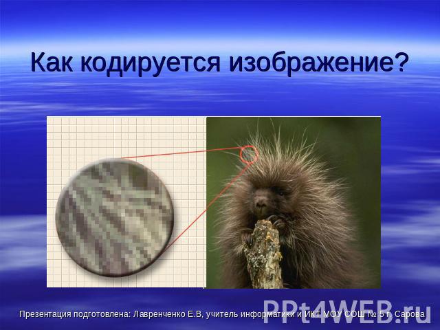 Как кодируется изображение? Презентация подготовлена: Лавренченко Е.В, учитель информатики и ИКТ МОУ СОШ № 5 г. Сарова