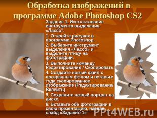 Обработка изображений в программе Adobe Photoshop CS2 Задание 1. Использование и
