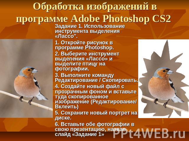 Обработка изображений в программе Adobe Photoshop CS2 Задание 1. Использование инструмента выделения «Лассо