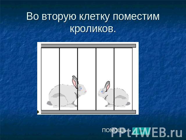Во вторую клетку поместим кроликов.