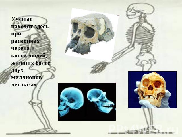 Ученые находят здесь при раскопках черепа и кости людей, живших более двух миллионов лет назад
