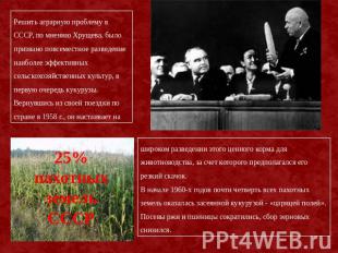 Решить аграрную проблему в СССР, по мнению Хрущева, было призвано повсеместное р