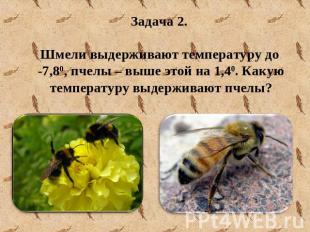Задача 2. Шмели выдерживают температуру до -7,80, пчелы – выше этой на 1,40. Как