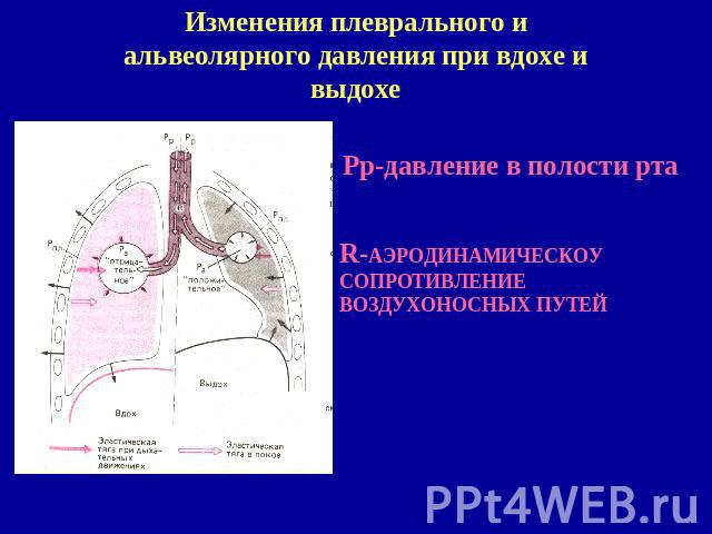 Изменения плеврального и альвеолярного давления при вдохе и выдохе Рр-давление в полости рта R-АЭРОДИНАМИЧЕСКОУ СОПРОТИВЛЕНИЕ ВОЗДУХОНОСНЫХ ПУТЕЙ