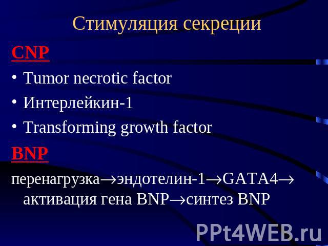 Стимуляция секреции CNP Tumor necrotic factor Интерлейкин-1 Transforming growth factor BNP перенагрузкаэндотелин-1GATA4 активация гена BNPсинтез BNP