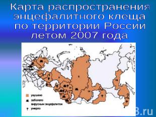 Карта распространения энцефалитного клеща по территории России летом 2007 года