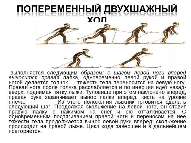 Попеременный двухшажный ход выполняется следующим образом: с шагом левой ноги вперед выносится правая палка, одновременно левой рукой и правой ногой делается толчок — тяжесть тела переносится на левую ногу. Правая нога после толчка расслабляется и п…