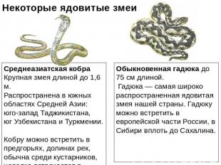 Некоторые ядовитые змеи Среднеазиатская кобра Крупная змея длиной до 1,6 м. Расп