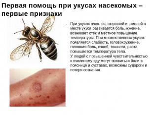 Первая помощь при укусах насекомых – первые признаки При укусах пчел, ос, шершне