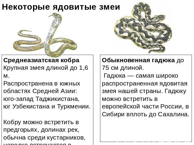 Некоторые ядовитые змеи Среднеазиатская кобра Крупная змея длиной до 1,6 м. Распространена в южныхобластях Средней Азии: юго-запад Таджикистана, юг Узбекистана и Туркмении. Кобру можно встретить в предгорьях, долинах рек, обычна среди кустарников, н…